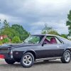 Amc Amx Car Paint By Numbers