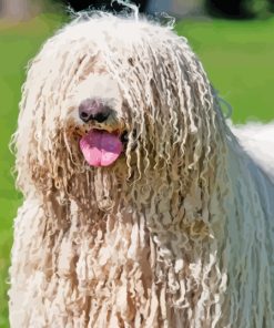 Komondor Paint By Numbers