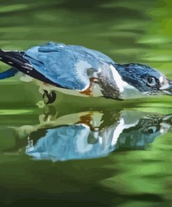 Belted Kingfisher Paint By Numbers