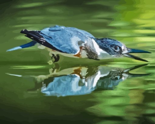 Belted Kingfisher Paint By Numbers