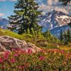 Cascade Range Paint By Numbers