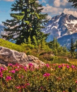 Cascade Range Paint By Numbers