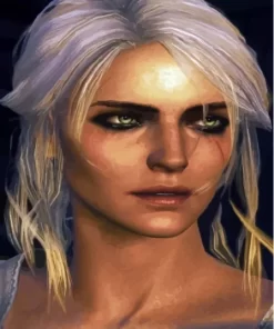 Cirilla Fiona Paint By Numbers