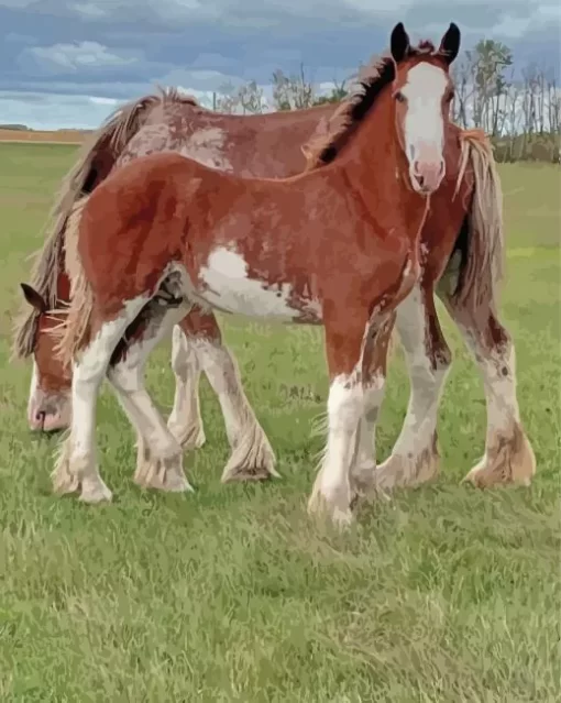 Clydesdales In Farm Paint By Numbers