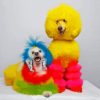 Poodle Dogs Paint By Numbers