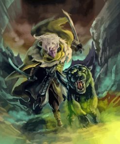 Drizzt Dourden Paint By Numbers