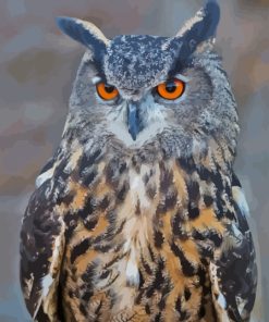 Eurasian Eagle Owl Paint By Numbers