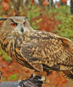 Eagle Owl Paint By Numbers