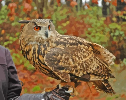 Eagle Owl Paint By Numbers