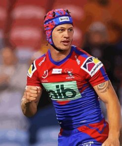 Newcastle Knights Team Paint By Numbers