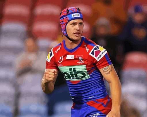 Newcastle Knights Team Paint By Numbers