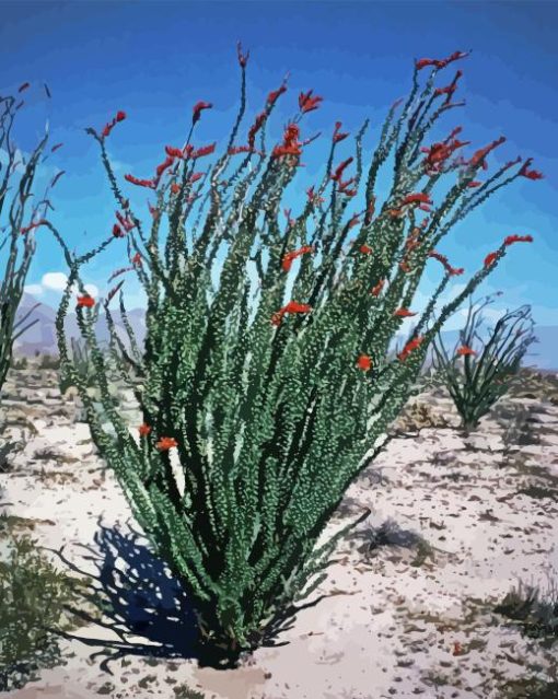 Ocotillo Cactus Paint By Numbers