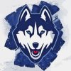 UConn Huskies Art Paint By Numbers