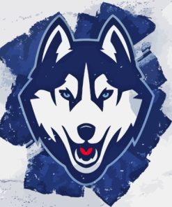 UConn Huskies Art Paint By Numbers