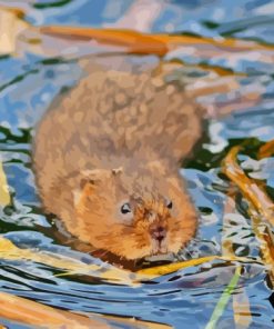 Water Vole Paint By Numbers