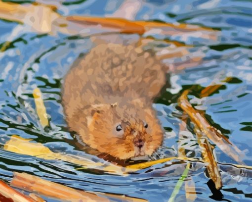 Water Vole Paint By Numbers