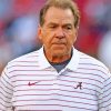 Coach Nick Saban Paint By Numbers