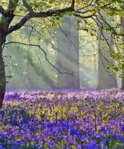 Bluebell Meadow Paint By Numbers