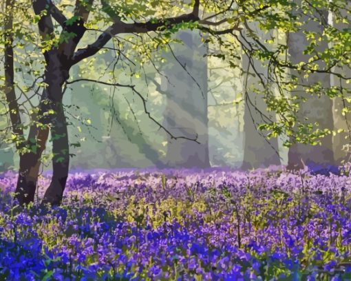 Bluebell Meadow Paint By Numbers