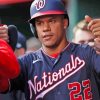 Juan Soto Washington Paint By Numbers