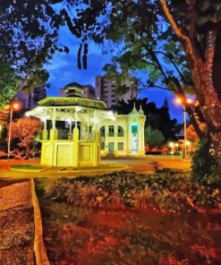 Uberlandia At Night Paint By Numbers