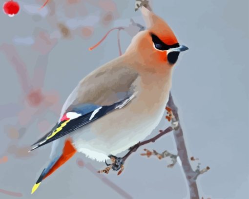 Waxwing Paint By Numbers