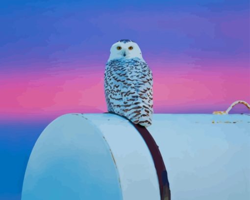 White Owl Paint By Numbers