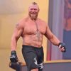 Wrestler Brock Lesnar Paint By Numbers