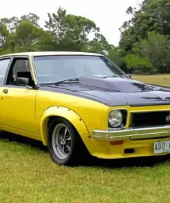 Holden Torana Slr Paint By Numbers