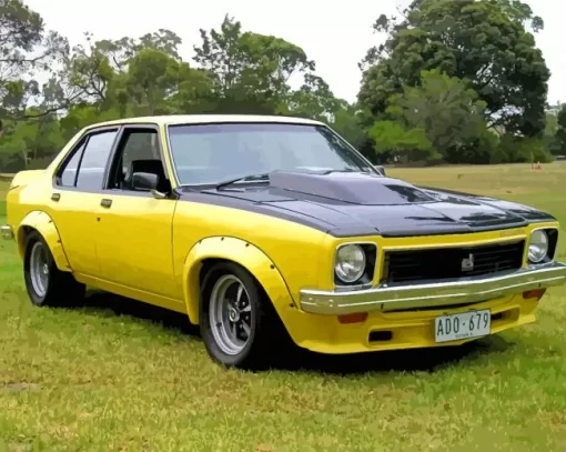 Holden Torana Slr Paint By Numbers