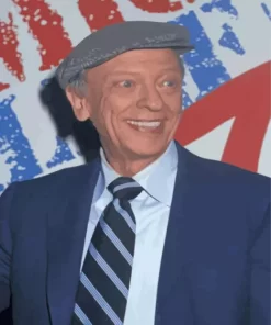 Jesse Don Knotts Paint By Numbers