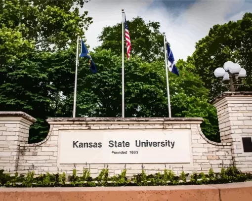 Kansas State University Paint By Numbers