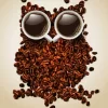 Coffee Bean Owl Paint By Numbers