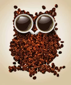 Coffee Bean Owl Paint By Numbers