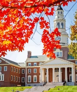 Colby College Paint By Numbers