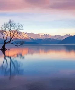 Lake Wanaka Paint By Numbers