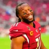 Larry Fitzgerald Paint By Numbers