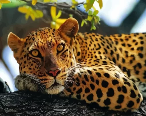 Leopard In Tree Paint By Numbers