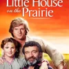 Little House On Prairie Paint By Numbers