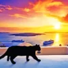 Cat In Greece Paint By Numbers