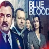 Blue Bloods Poster Paint By Numbers