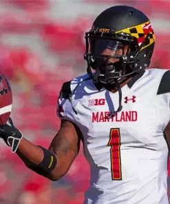 Maryland Terrapins Paint By Numbers