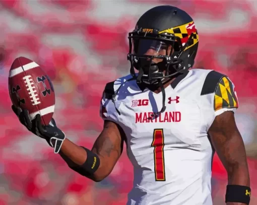 Maryland Terrapins Paint By Numbers