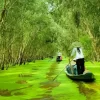 Mekong Delta Paint By Numbers