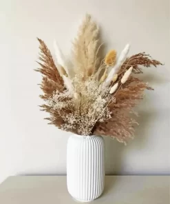 Pampas Vase Paint By Numbers