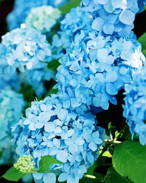 Blue Hydrangea Paint By Numbers