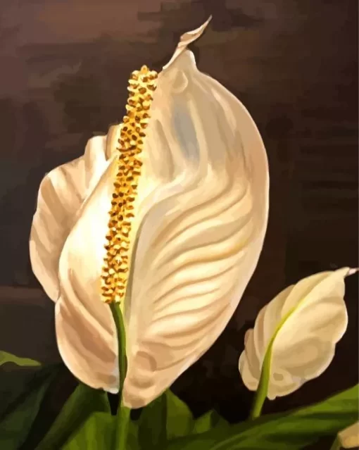 Peace Lily Paint By Numbers