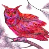 Pink Owl Art Paint By Numbers