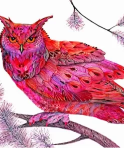 Pink Owl Art Paint By Numbers