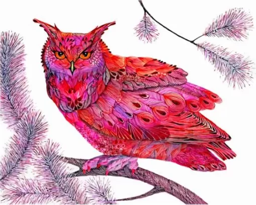 Pink Owl Art Paint By Numbers